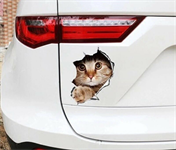 برچسب-بدنه-خودرو-گربه